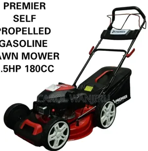 Self Propelled Gasoline Lawn Mower 5.5hp / Lawn Mower