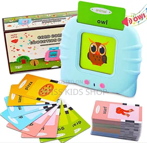 Flash Card Reader / Educational Card Reader.