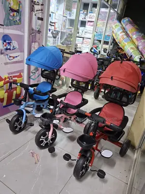 Tricycle With Push Handle and Canopy