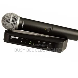 Shure Wireless Vocal System