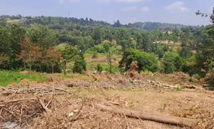 1 Acre Land for Sale in Ngong Matasia in a Gated Community