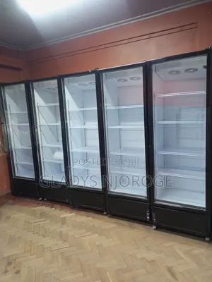 High Quality Display Fridge