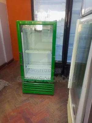 Green in Colour Smaller Size Display Fridge