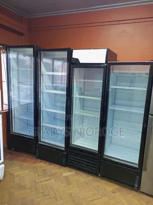 Neat Affordable Display Fridge