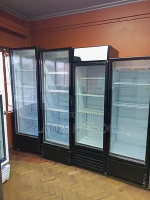Neat Affordable Display Fridge