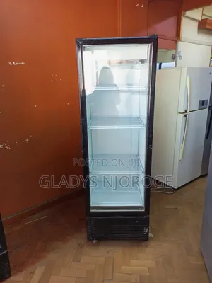 Premier Cooler 400l