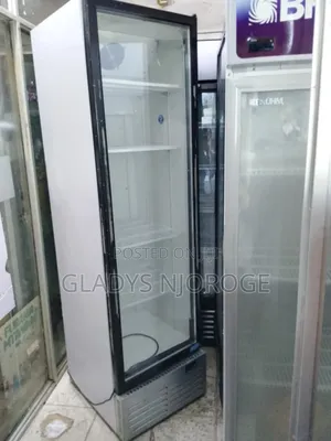 Quality Chiller Fridge