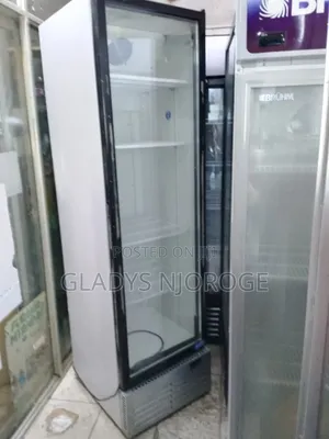 Quality Chiller Fridge