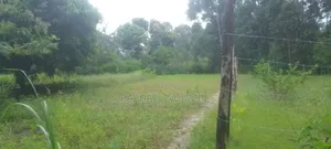 Plot at Tumba - Kasinga Area Next to Aic Kasinga