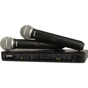 Shure Blx288/Pg58