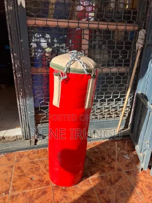 Gym /Home Punching Bags