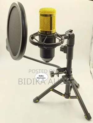 Bm-800 Condenser Microphone