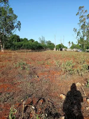 Kilifi Bofa