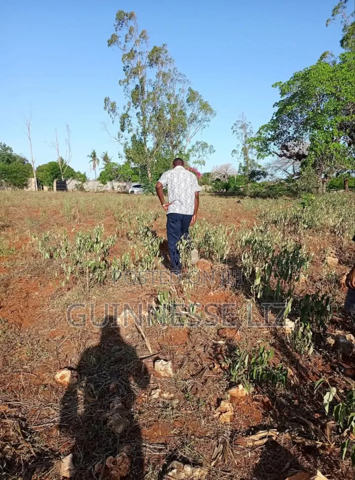 Kilifi Bofa