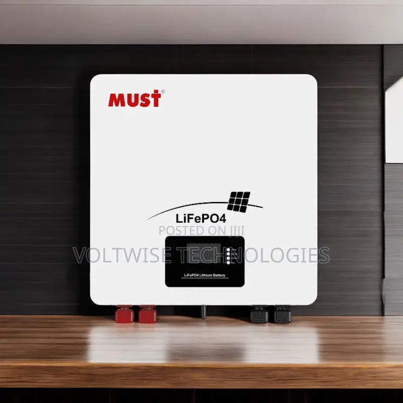 Must 48v Lifepo4 Battery Pack for Inverter Systems