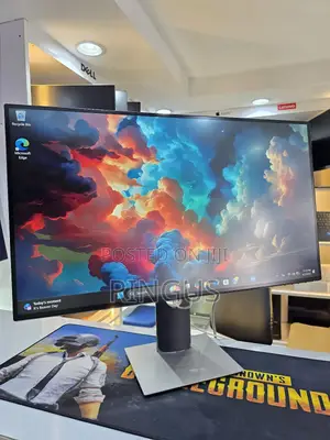  Dell Monitor
