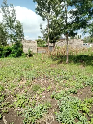 40 by 80 Plots on Sale at Kabati-CCF Area