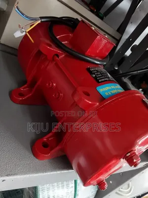 Electric Motor Vibrator
