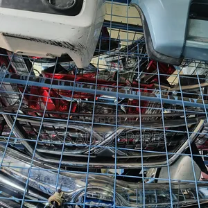 Toyota Mark X 2010 Grille