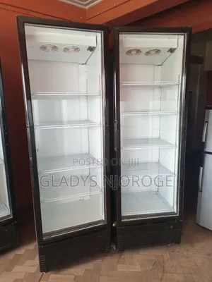 Perfect Chiller 2door Fridge