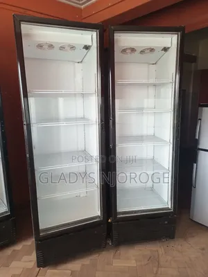 Perfect Chiller 2door Fridge