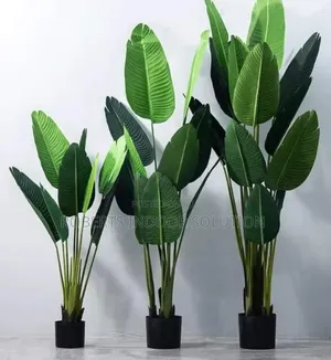 *New Stock In!!*
*Large Artificial Banana Tree