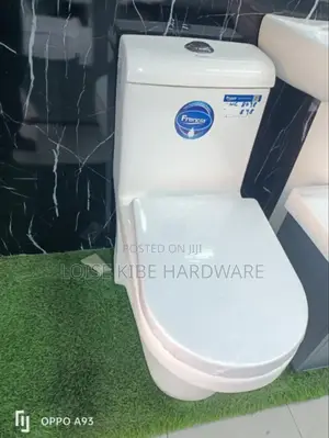 One Body Francia Toilet Available