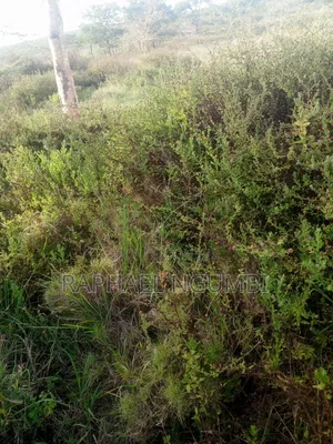 10 Acres Machakos Junction (Kindaruma)