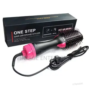 Electric Hair Dryer and Styler