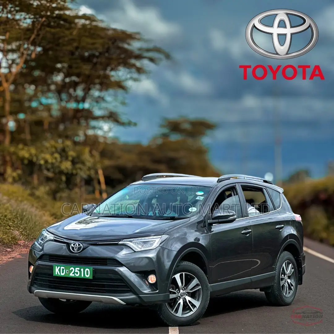 Toyota RAV4 2017 Gray