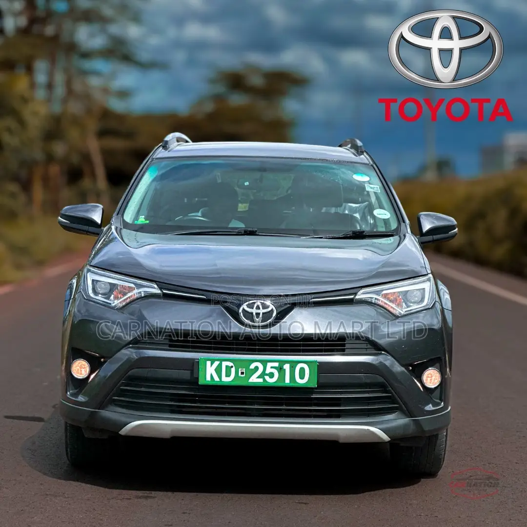 Toyota RAV4 2017 Gray