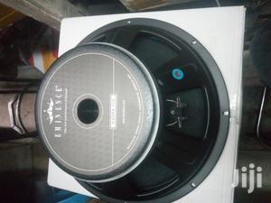 Naked Speakers 15 Inches