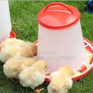 Plastic Poultry Feeder