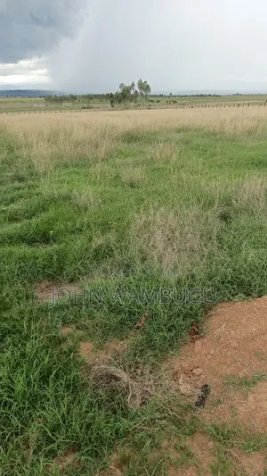 Residential Plot