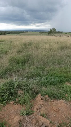Residential Plot