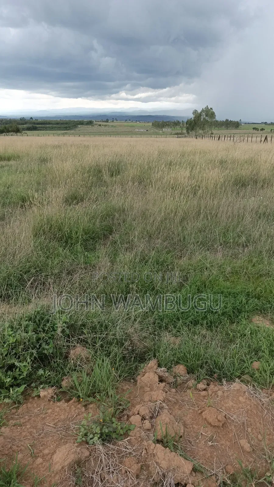 Residential Plot