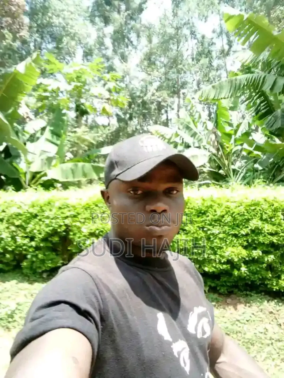 Am Humbly Requesting for a Job