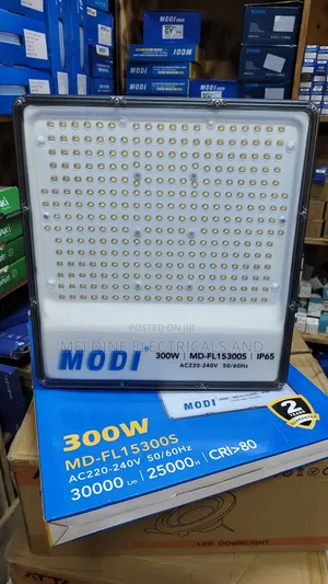 300watts Floodlight Ac