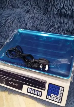 Acs30/30kg Digital Weighing Scale/Butchery Scale