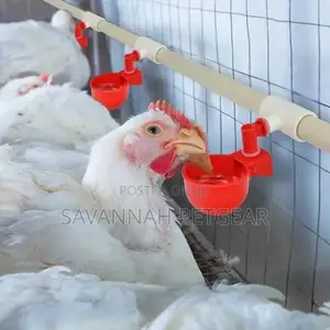 Automatic Poultry Red Cups Drinkers Available - 10 Pieces