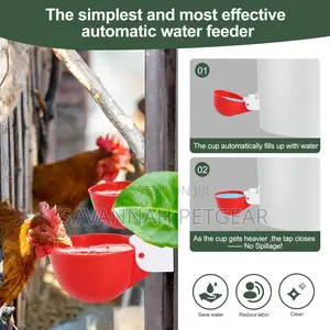 Automatic Large Chicken Water Feeder for Ducks, Chicks -20pc