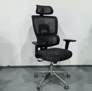 Flexon Ergonomic/Orthopedic Comfortable Chair
