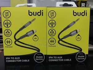 Budi Lightning to Aux Conversion Cable - 1.2m