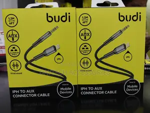Budi Lightning to Aux Conversion Cable - 1.2m