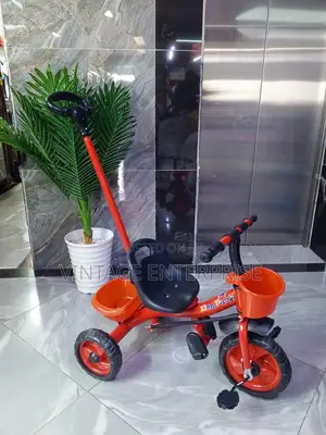 Push Tricycle