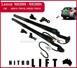 Lexus Nx200 Rear Electric Boot Shocks