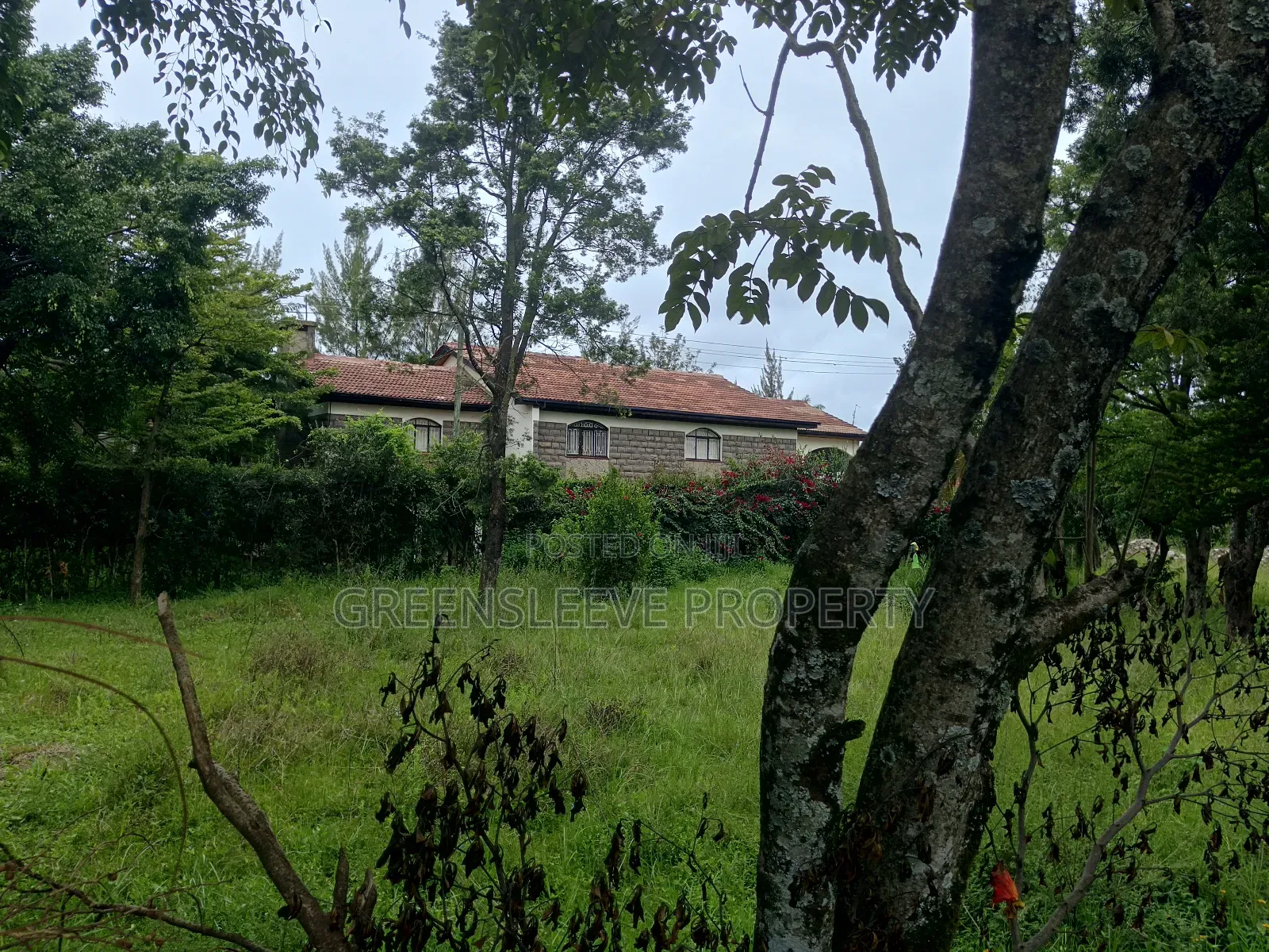 1 Acre for Sale