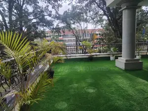 Outdoor Carpet (Grass)