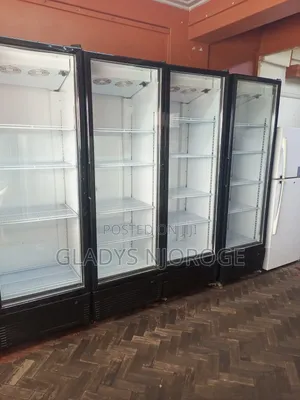 Affordable Chiller 500l