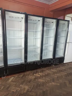Affordable Chiller 500l